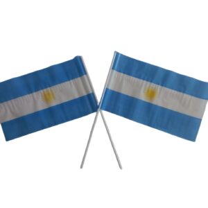 BANDERITA ARGENTINA X25
