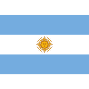 BANDERA ARGENTINA TAFETA (45X72) CON SOL x10