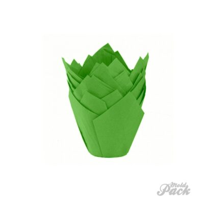 TULIPAS VERDES CAJA X50