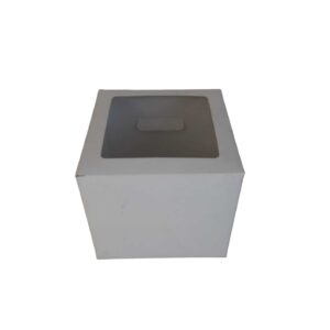 CAJA VISIOR (13X13X12) X100 UNIDADES